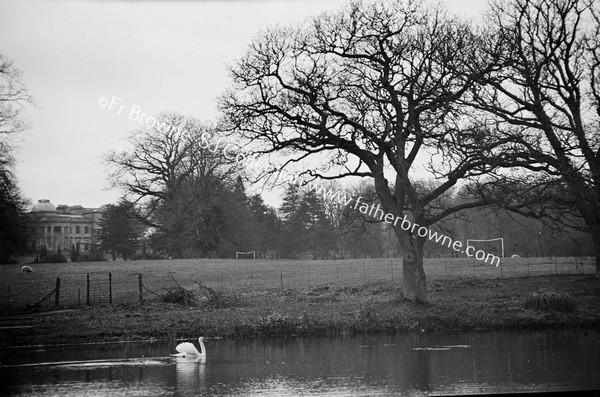EMO COURT WITH SWAN AND TREES